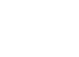 Logo HEALTHCIE