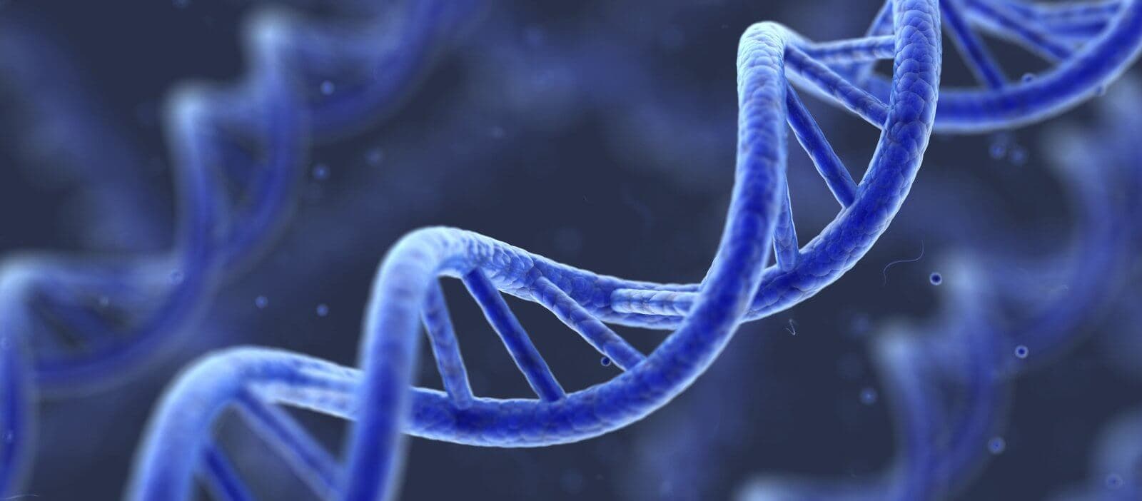 Articles.Prague_Exosomes.img_alt